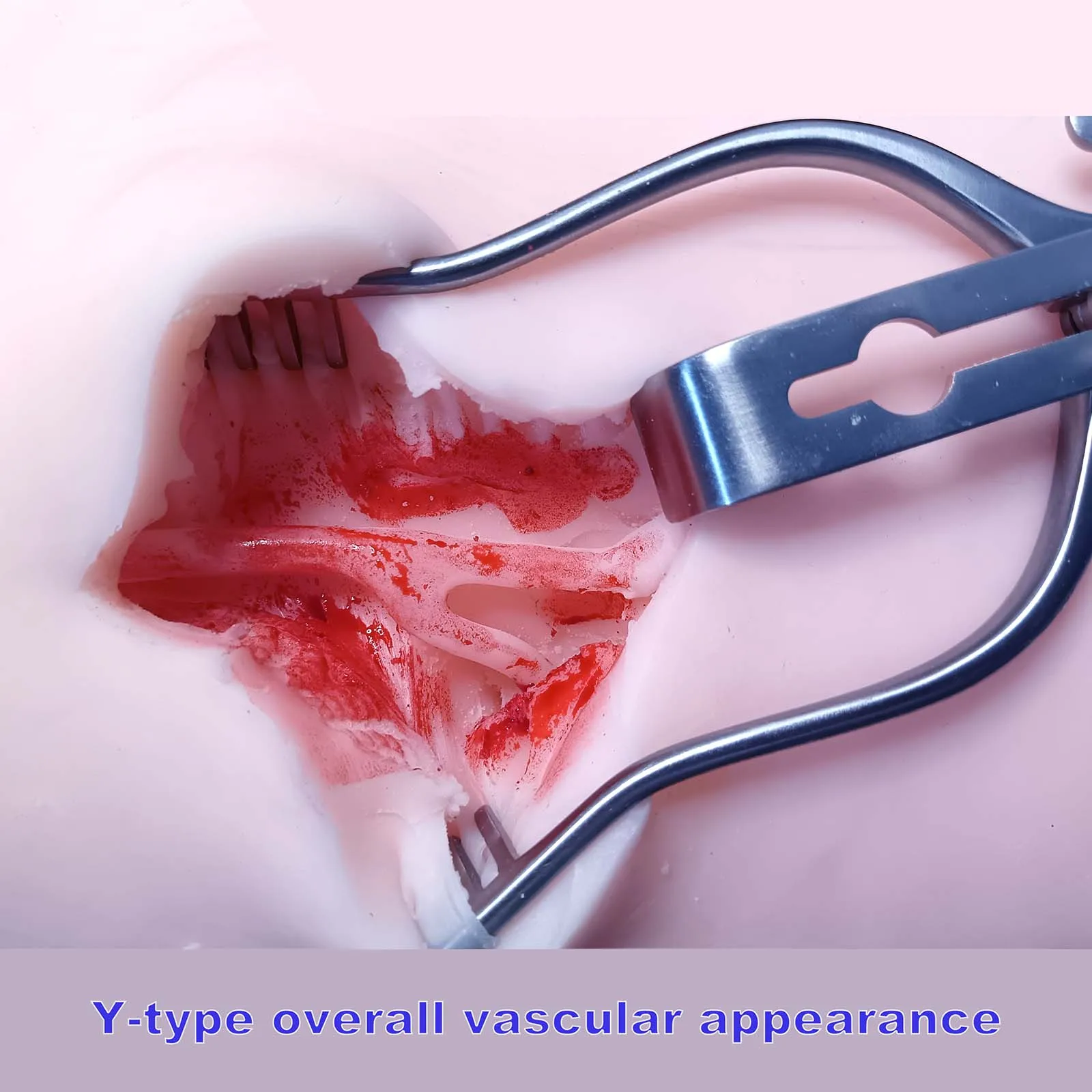 The carotid endarterectomy surgery simulation system for surgical doctor training