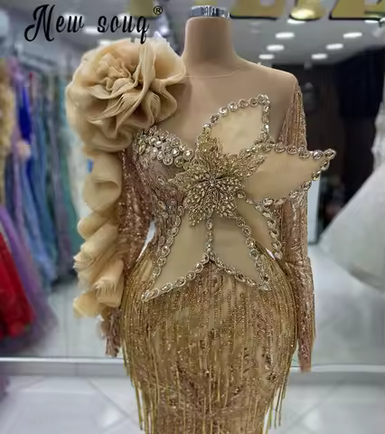 Aso Ebi Gold 3D Lace Long Sleeve Evening Dress Golden Tassel Mermaid Wedding Party Gowns Engagement Prom Dress Customized