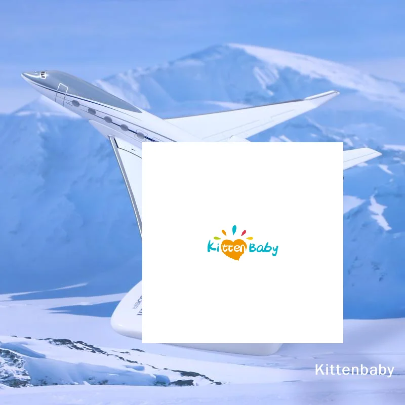 

1PCS Gulfstream G650 Aircraft Diecast 1/200 Scale Airplane Model Planes G650ER Airplane Model Plane Model