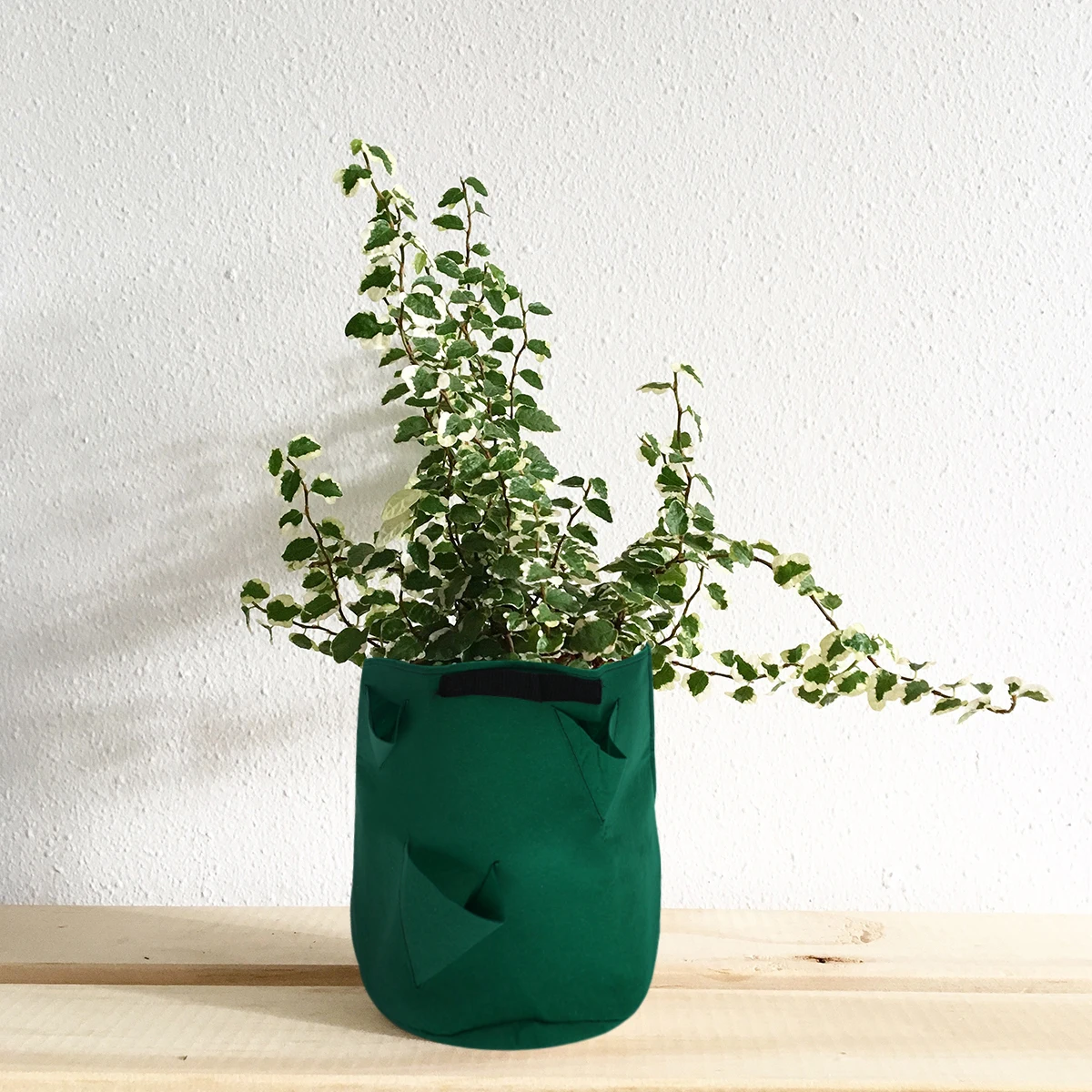 

3PCS Strawberry Planting Bag Non Woven Fabric Grow Pot Aeration Container Healthy Roots Nursery Planter Boost Growth