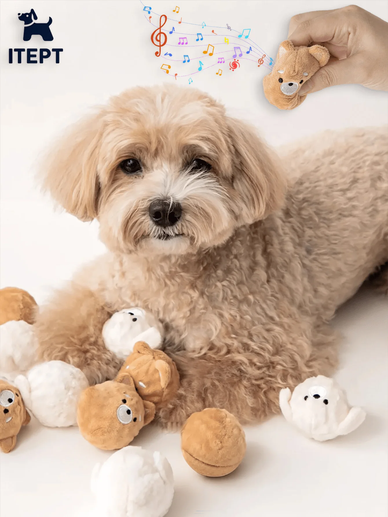 Squeaky Dog Chew To…