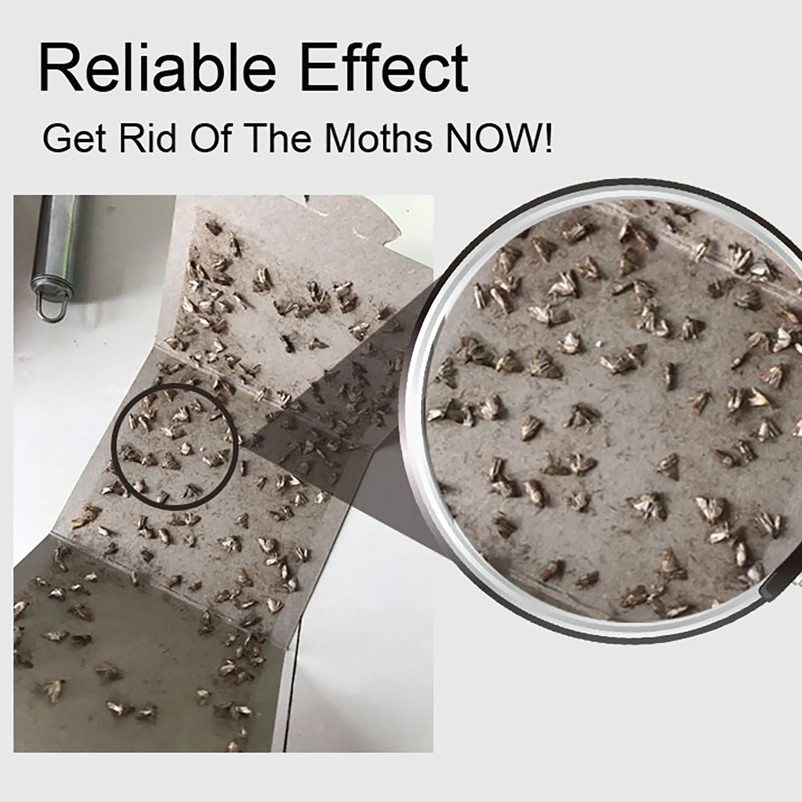 Pest Control Reject Moth Trap Mothball for Clothes Pantry Food Pheromone Killer Sticky Glue Catcher Restaurant Kitchen