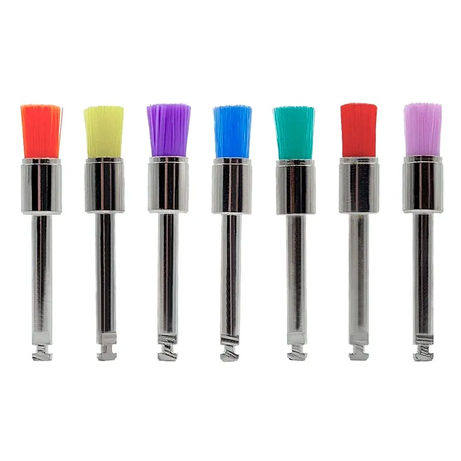 10pcs/Bag Disposable Dental Polisher Nylon Bristle Brush Polishing Brushes Teeth Whitening Prophy Brushes Stain Removal Tool