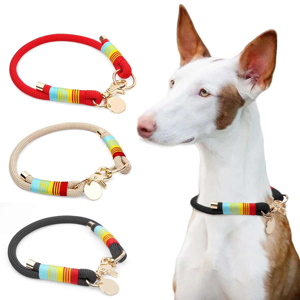 

Dog Training P-ring Colorful And Trendy Dog Collar Leash For Small Medium And Large Dog Eazy Control Outdoor Pet Accessories