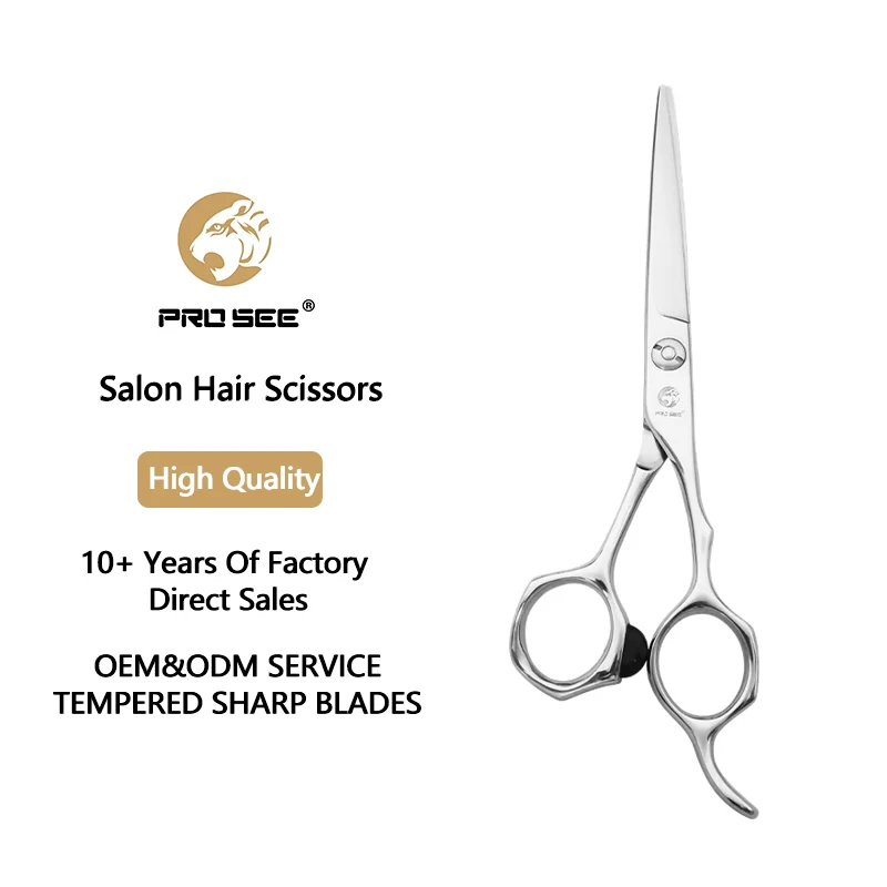Professional VG10 Stainless Steel Hair Scissors Right Hand Hair Care Scissors from Direct Factory Hairdressing Shear Tools Set