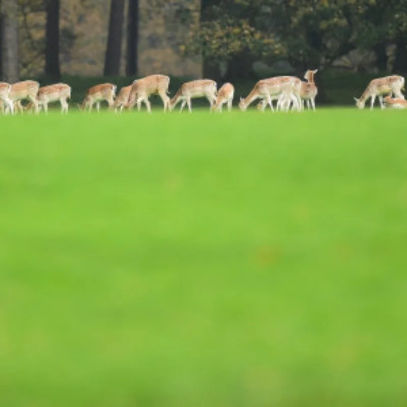 

Metal 12mm Wheel Hex Hub Adapter Brake Disc for MJX 14301 14302 1/12 MN128 MN86S RC On Road Racing Car