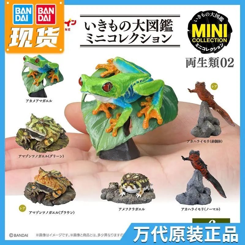 الأصلي بانداي غاشابون خريطة بيولوجية كبيرة الحيوان قرون الضفدع Lepidobatrachus Llanensis محاكاة المنقولة عمل نموذج لجسم