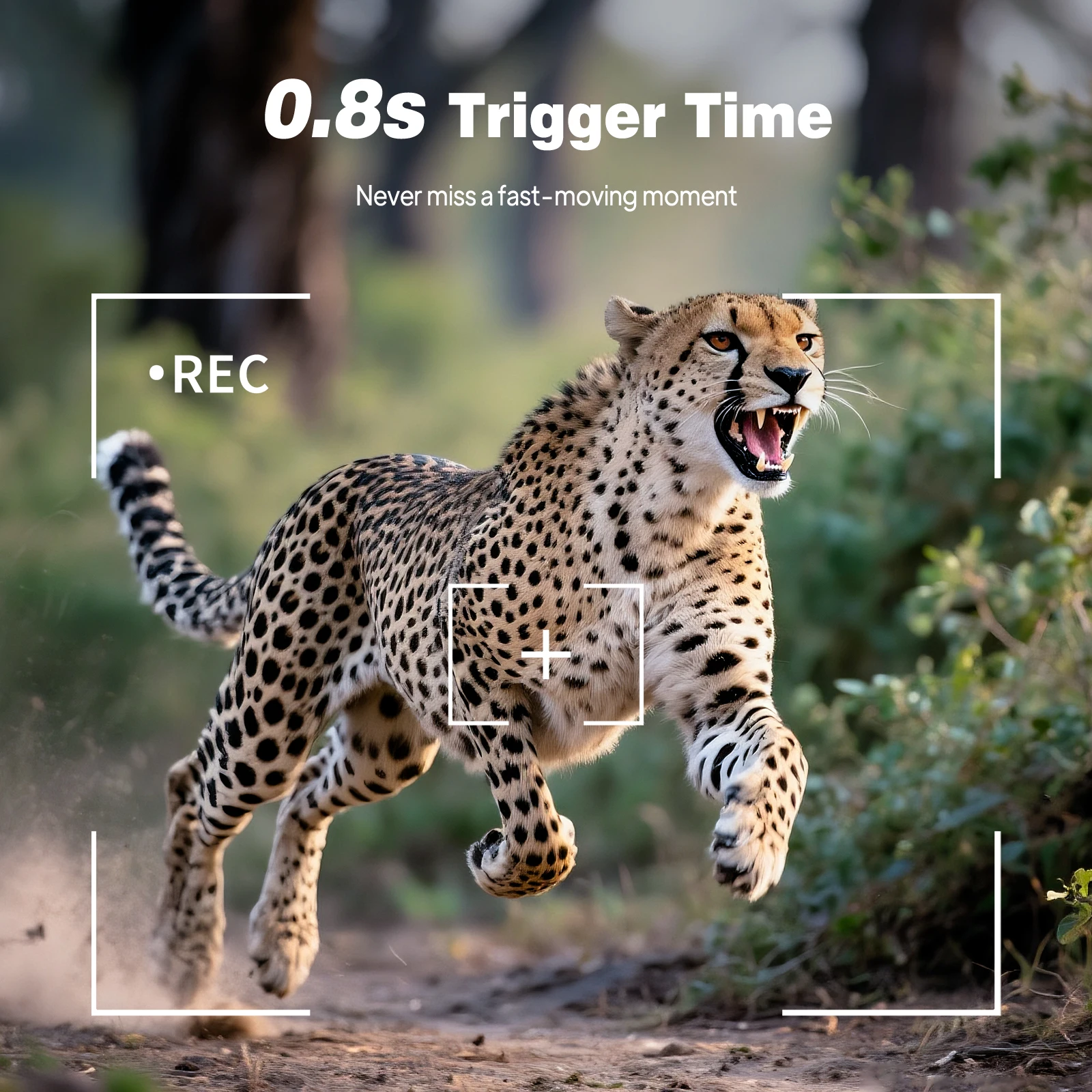 Telecamera da Caccia HD a Infr - Outdoor Hunting Video Camera recensione e prezzo