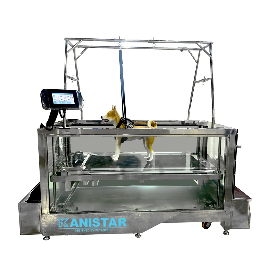 Pet Water Treadmill Electrical Instrument Dog Hydrotherapy Underwater Treadmill Electric Underwater Treadmill for Dog Training