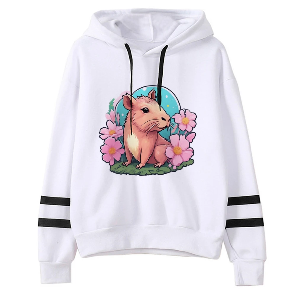 Capybara Hoodies Frauen japanische Harajuku Streetwear Anime Kleidung weibliche Streetwear Kapuze