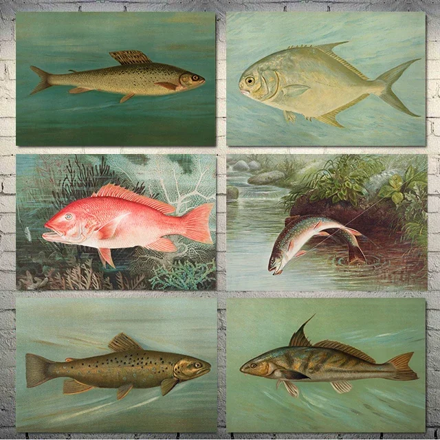 1pc frameless Canvas painting Scientific Natural History Coastal Ocean Reef Posters Red Snapper Trout Fish Prints Canvas Paintin