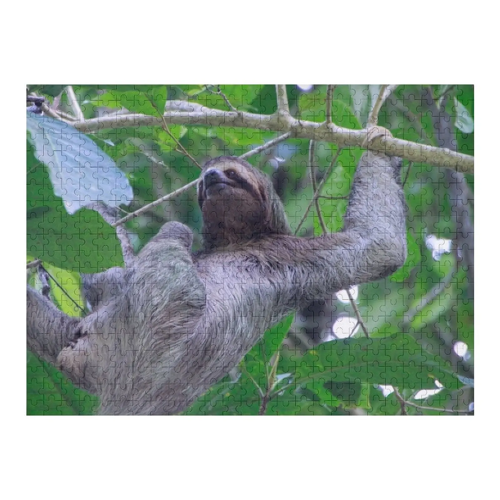 

Three Toed Sloth Climbing Jigsaw Puzzle Wooden Adults Personalized Toys Jigsaw Pieces Adults Puzzle