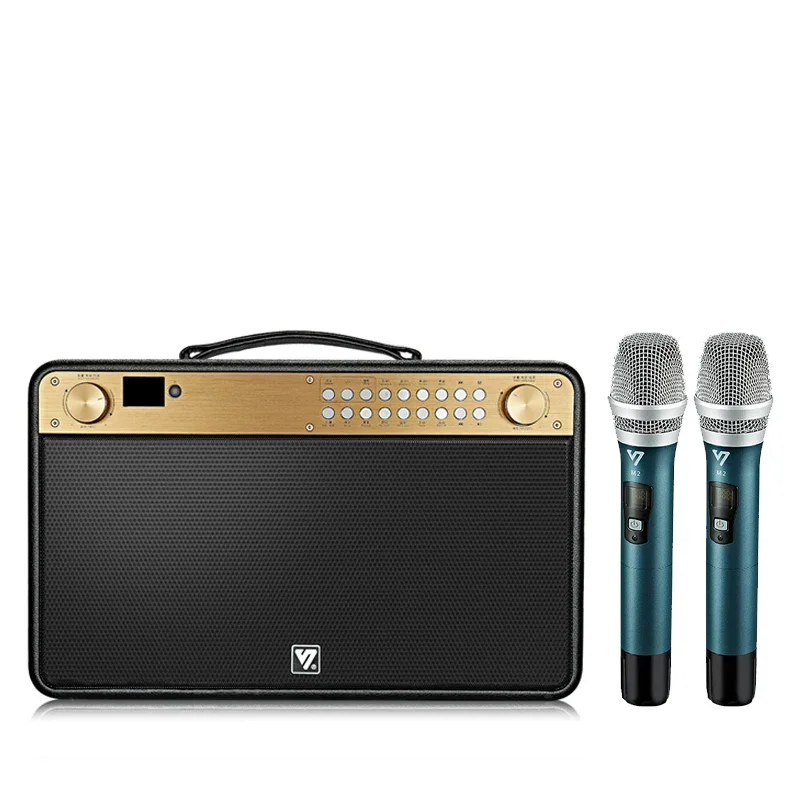 Shengyou-ワイヤレスカラオケスピーカー,マイク付きスピーカー,高周波,大電力,150W, 150W,屋外,パーティー,q10s