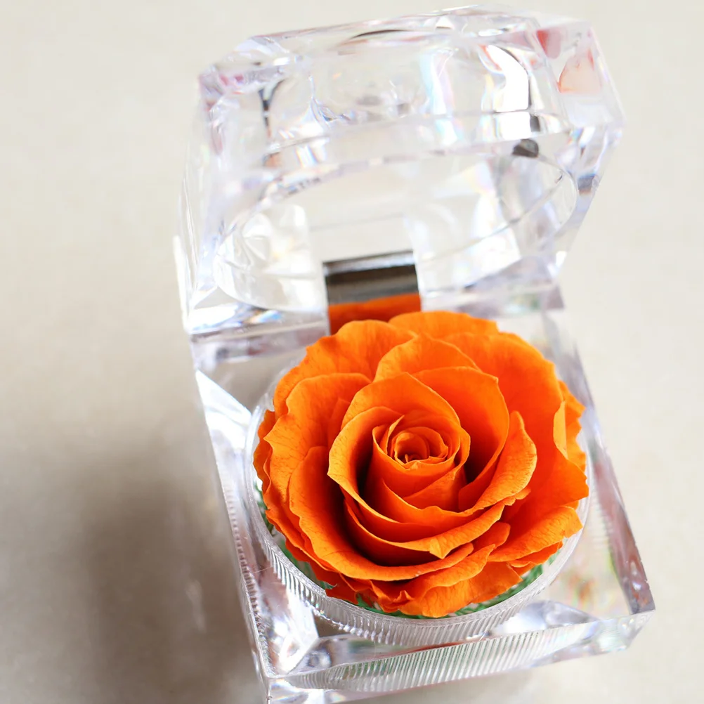 

1Pcs Preserved Rose Head Orange Decoration for Home Office Bedroom Anniversary Birthday Romantic Eternity Rose Gift