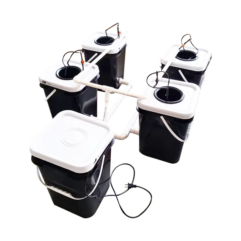 

Hydroponic RDWC System for Home Balcony, Dutch Bucket Growing Kit, Soil-Free Planting Equipment
