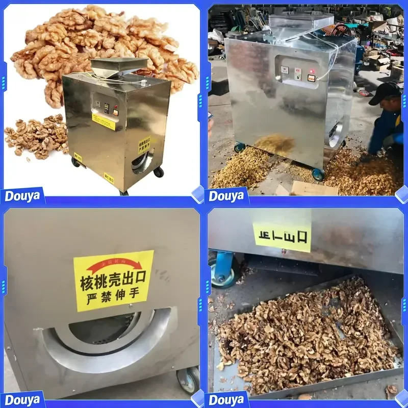 Pecan Walnut Automatic Shelling Machine Stainless Steel Motor Driven Kernel Separator High Productivity Hard Shell Processing