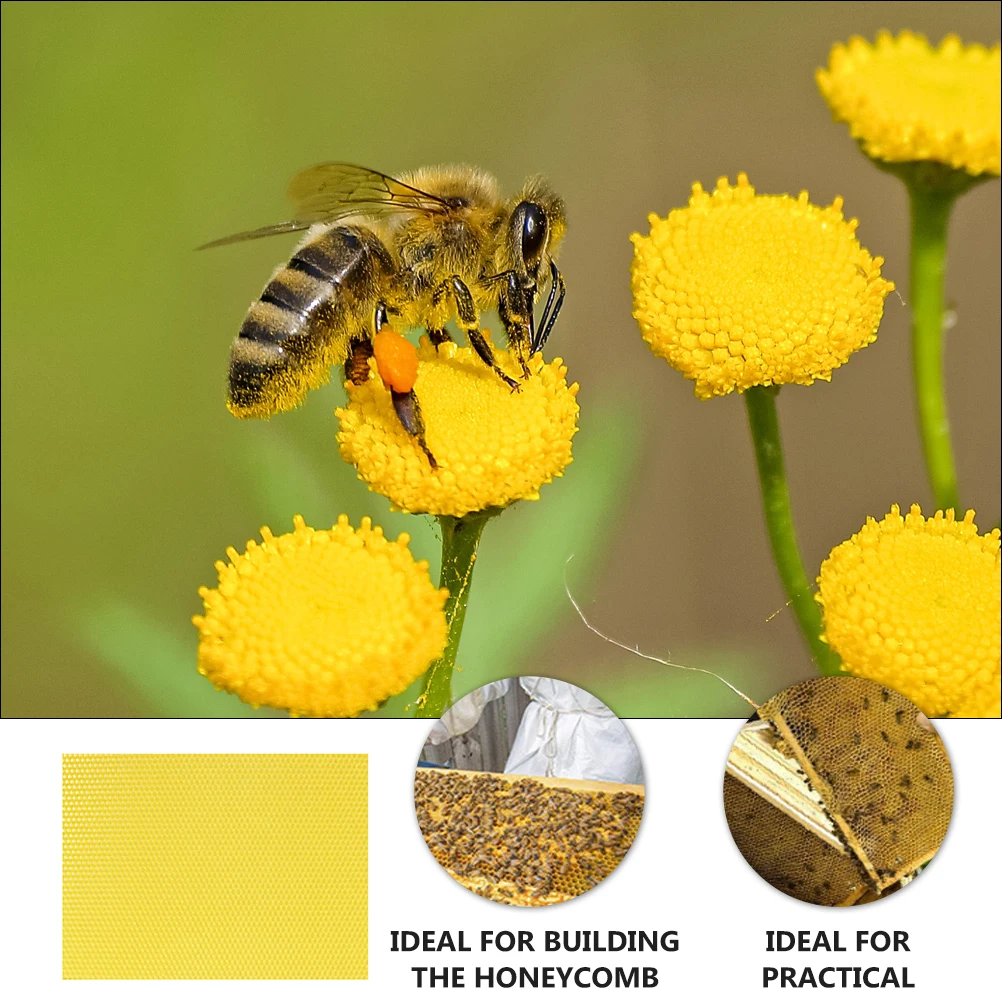 

10pcs Beeswax Foundation Sheets Beehive Base Deep House Honeycomb Accessories Nest Building Beekeeping Tools Gardening Supplies