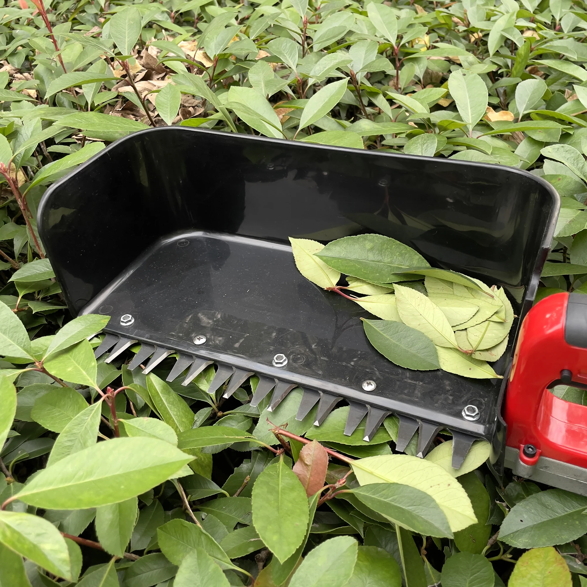 

Электрический сборщик чайных листьев/чайоуборочная машина с аккумулятором напрямую от производителя