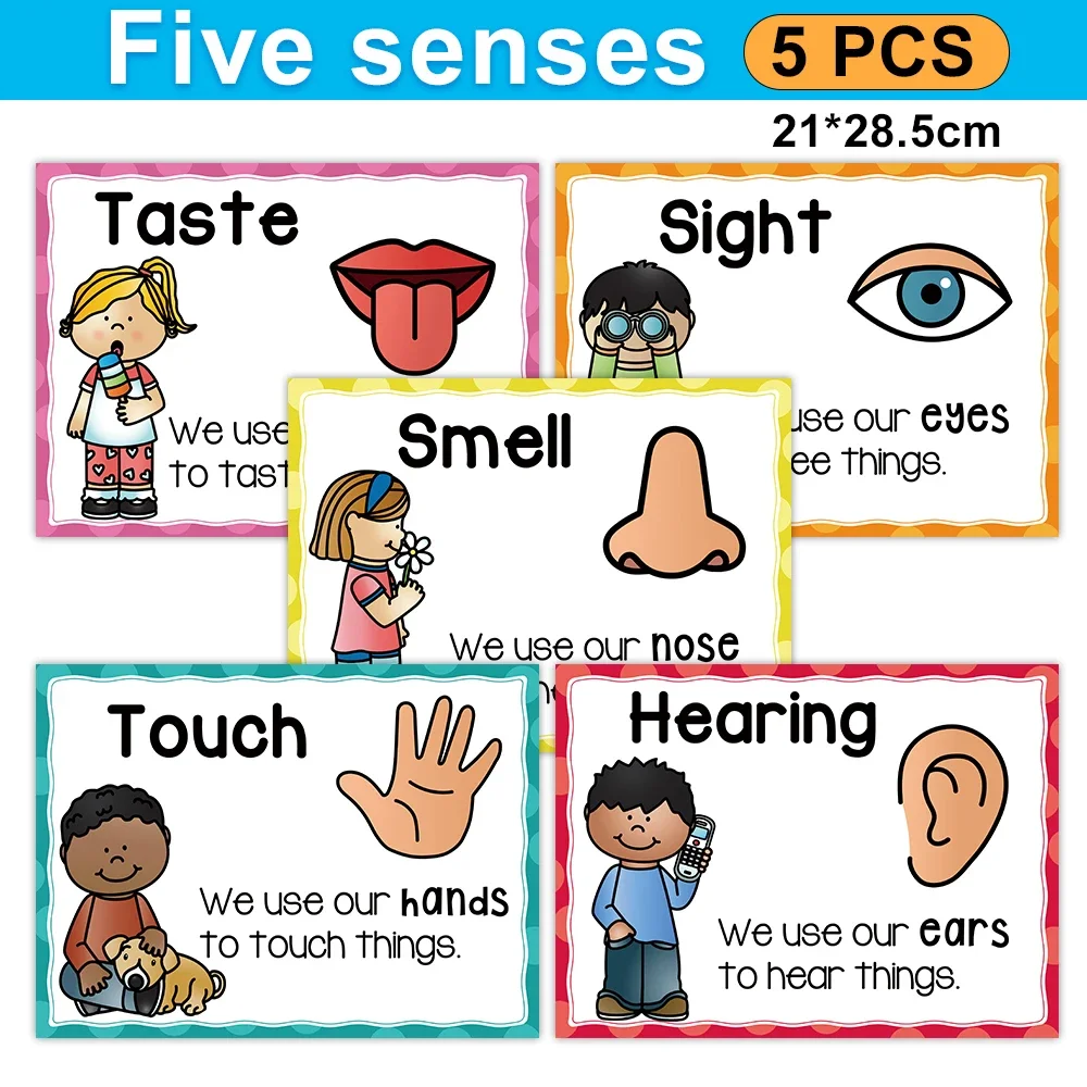 Five Senses English Posters, Classroom Decoration, Teaching Aid, Learning Materials, Brinquedos Educacionais para Sala de Aula, 5 peças