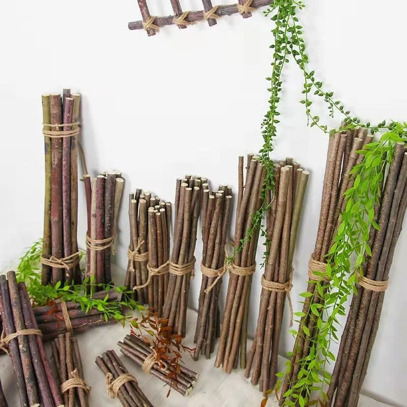 أعواد خشبية من خشب البتولا الطبيعي، فروع جافة لمشاريع الحرف اليدوية، دعائم الصور، ديكورات الزفاف المنزلية #4