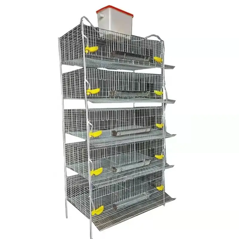 H Quail Cage Brooder Cage for Laying Hens 6 Floors Automatically Cleaned Manure Breeding Laying Cage Poultry Farm Equipment