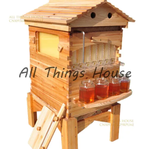 Golden Automatic Hive 2 Beehive 7-teiliger Box Flows-Rahmen