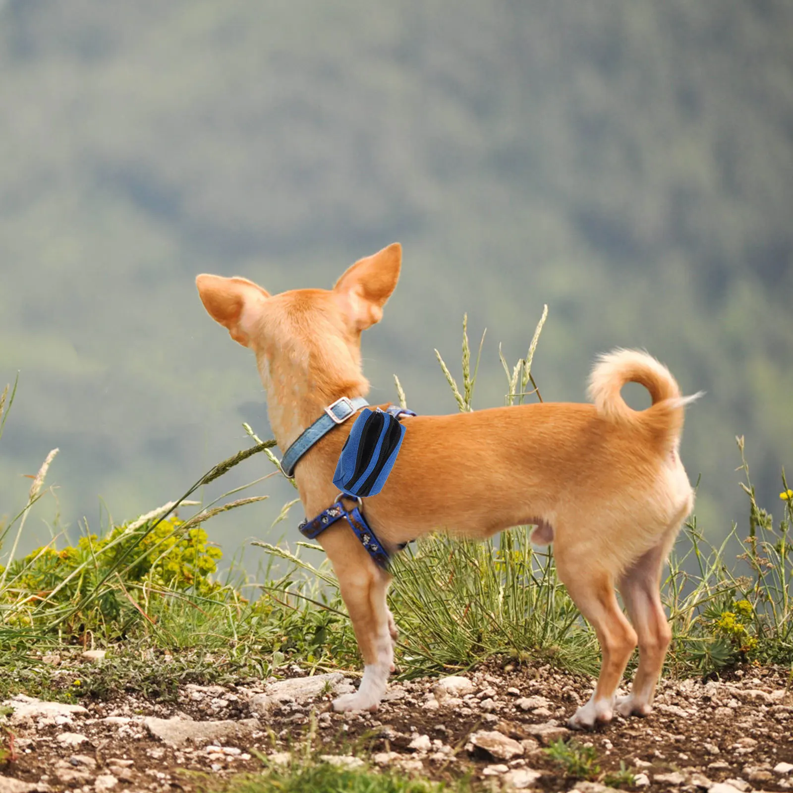 

Compact Dog Waste Bag Holder Multi Functional Fabric Dispenser with Treat Pouch Carabiner Clip for Walking Hiking Travel Outdoor