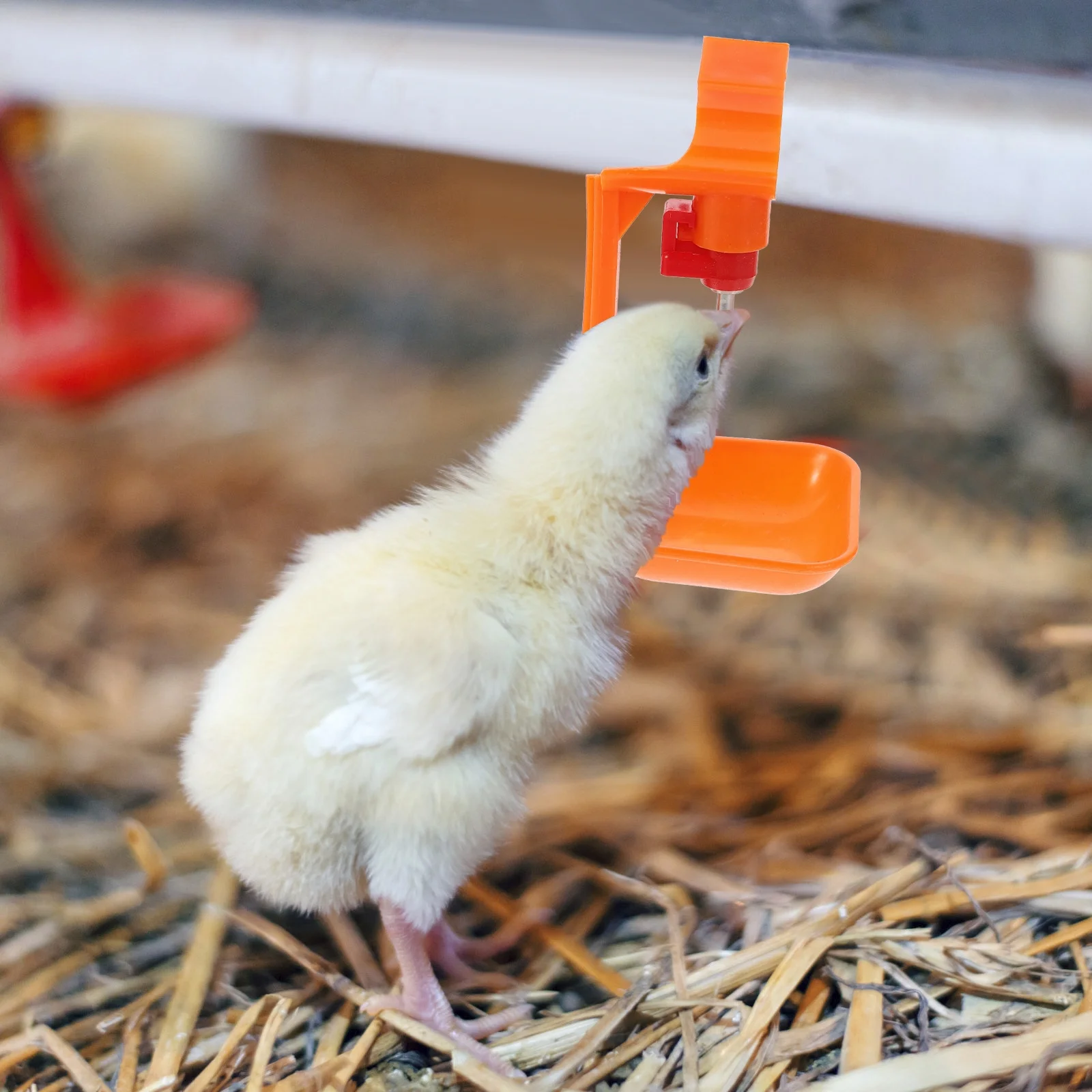 

10Pcs Chicken Waterer Nipples Durable Automatic Poultry Drinking Bowls Farm Supplies Poultry Water Feeding Equipment