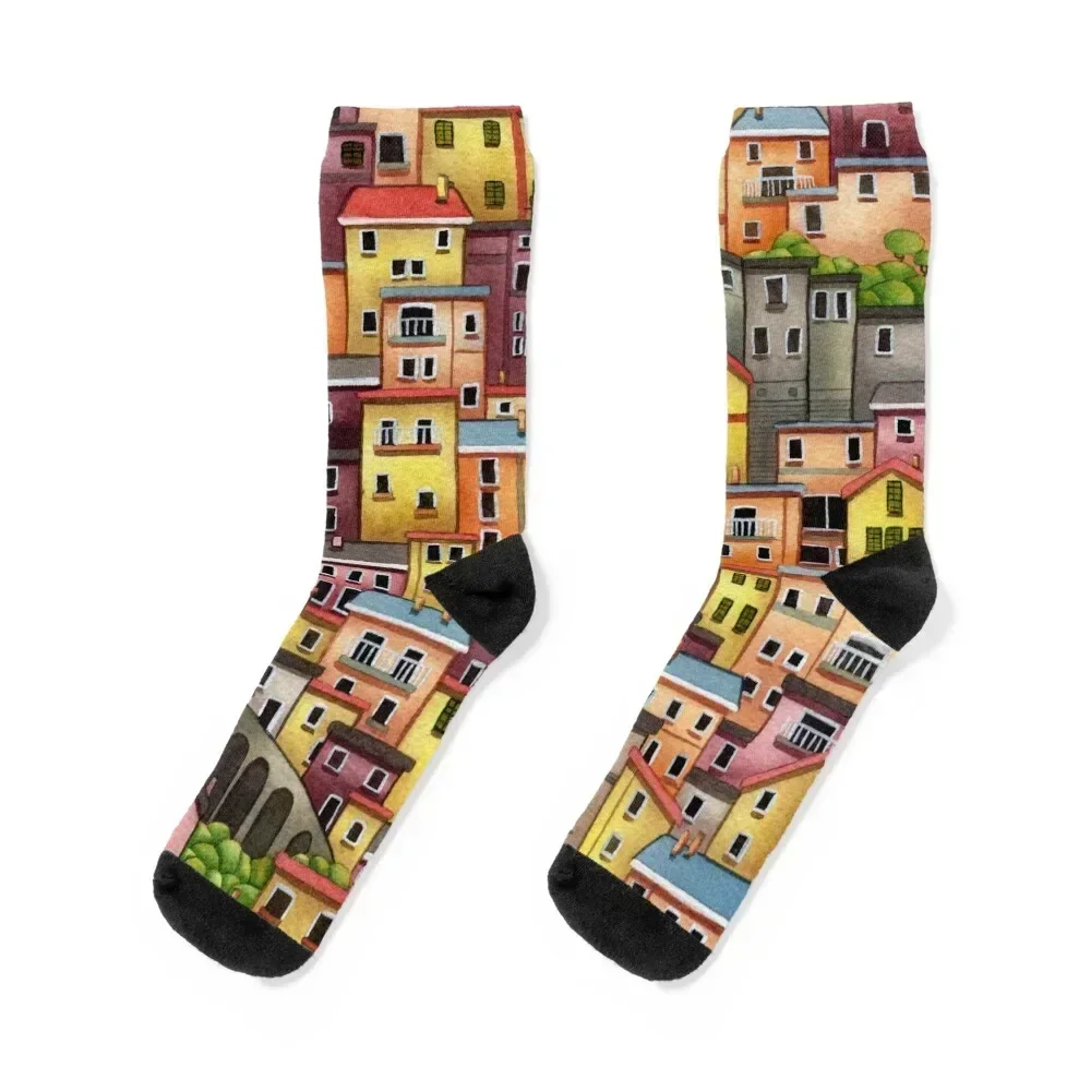 Manarola, Italy Socks with print floral christmas gift Socks Girl Men's