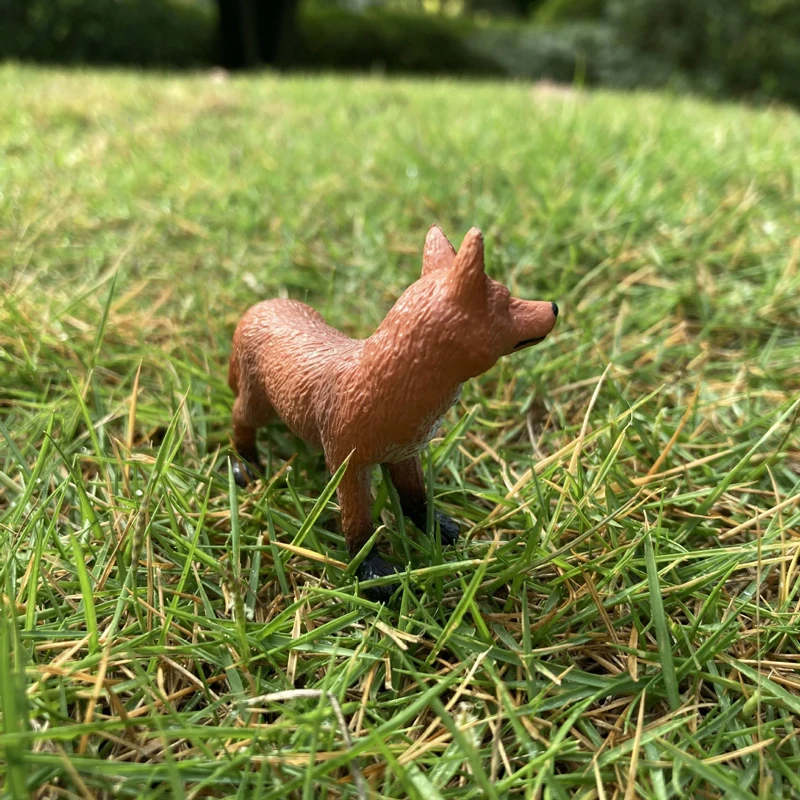 Realistisches Tierspielzeug, Modellständer, roter Fuchs, Kunstharzfigur, Heim-/Büro-Dekoration, Sammlerspielzeug für Kinder, frühe Bildung