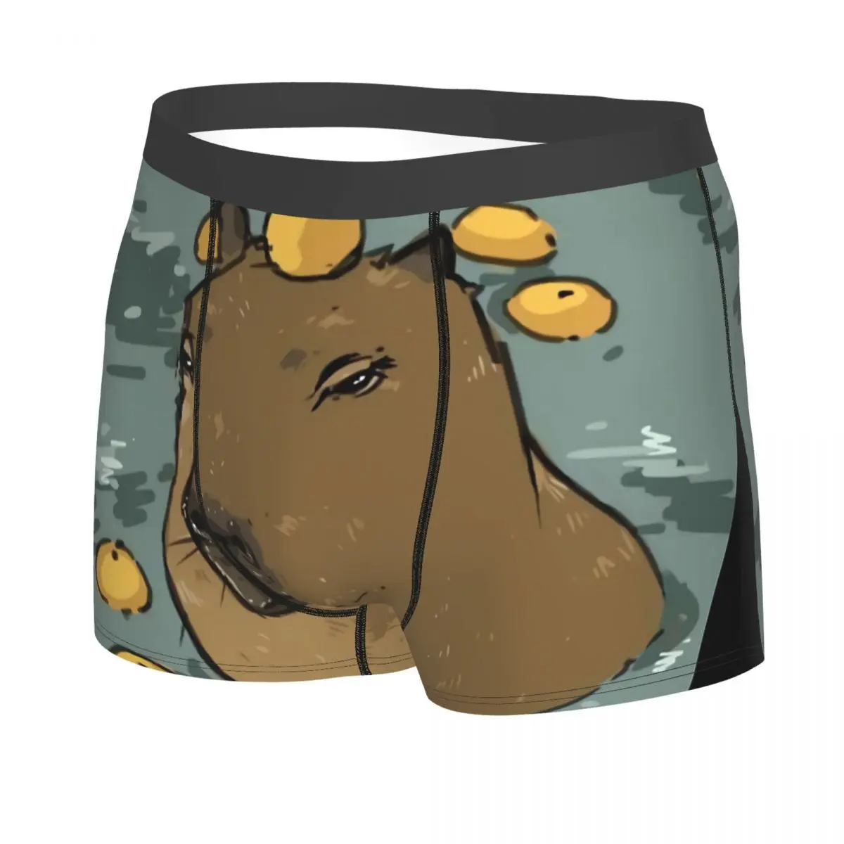 Kawaii Man's Boxer Briefs Underpants Capybara Highly Breathable Top Quality Sexy Shorts Gift Idea