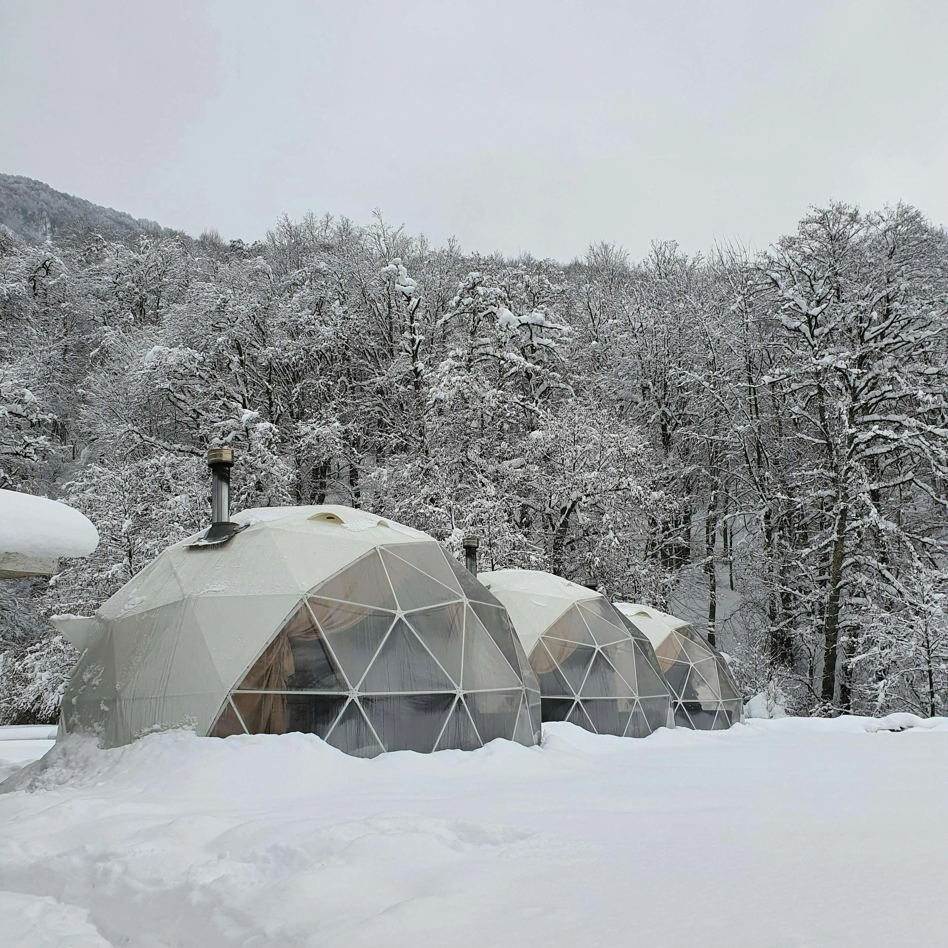 PVC Dome Canopy Tent 4m, Transparent Camping Shelter, Commercial Grade for Outdoor Wedding Events Garden Party Family Use