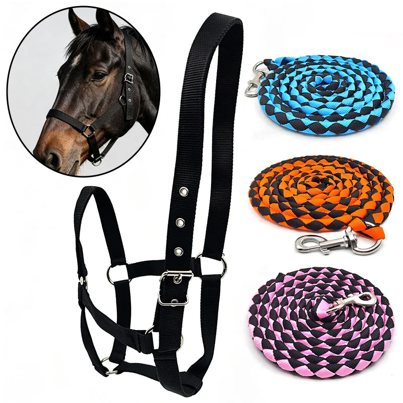 Professional Adjustable Nylon Horse Halter & Lead Rope Set Equestrian Training Leading Tack Horse Riding Equipment