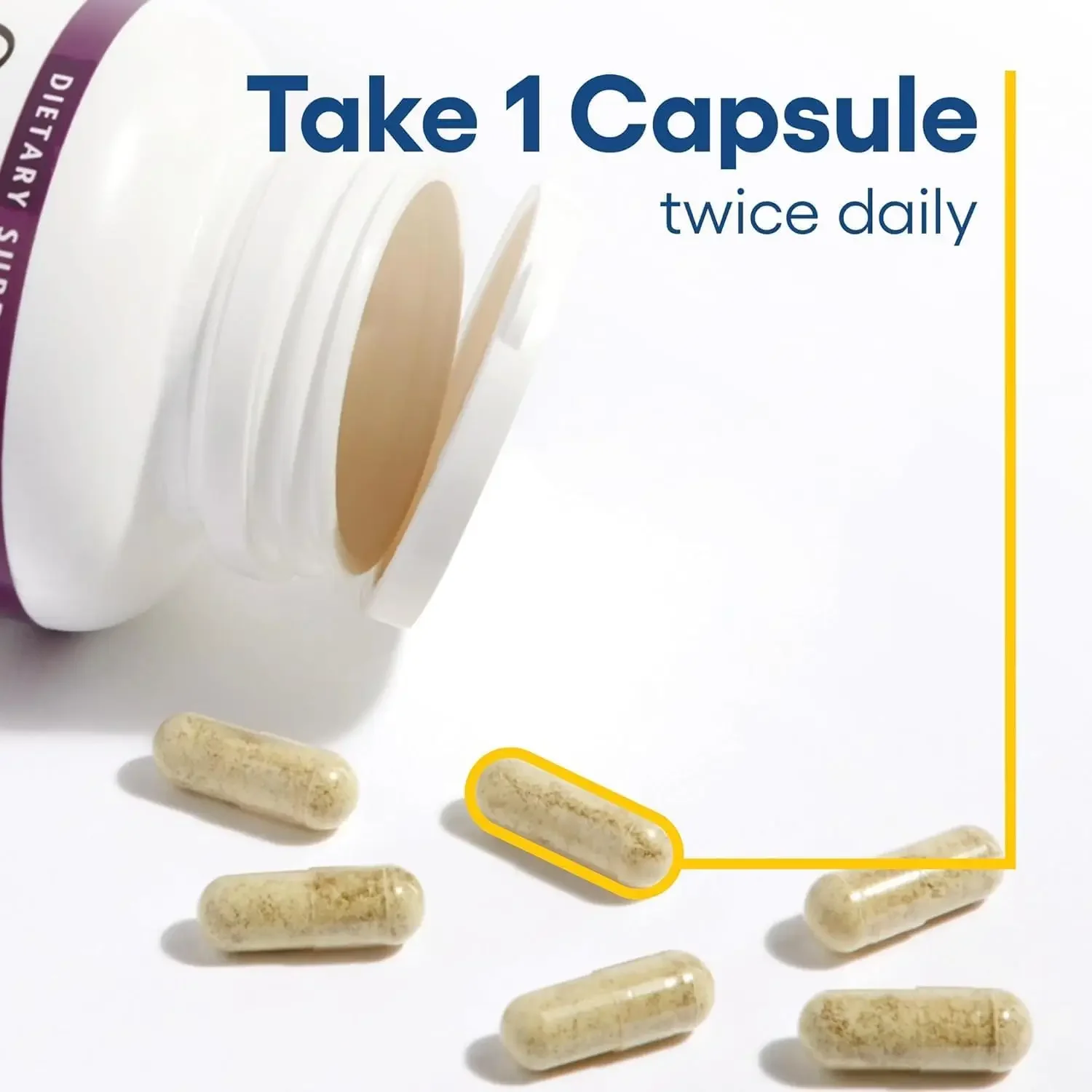 Nasiona selera, skoncentrowany ekstrakt z selera dla zdrowego krążenia krwi i wsparcia serca