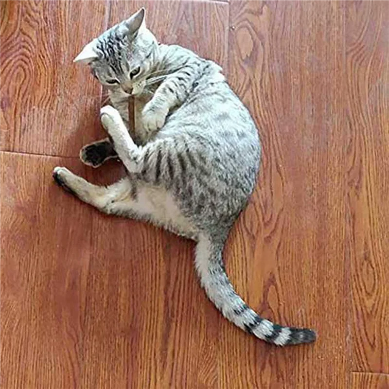 Abzs 60Pcs Natural …