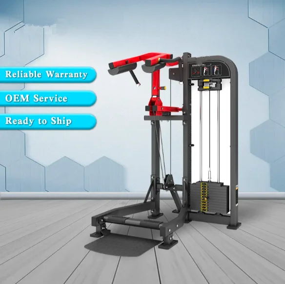 Macchina per l'allenamento della forza delle gambe, attrezzatura per il fitness, estensione dei polpacci, palestra, supporto unico, servizio personalizzato