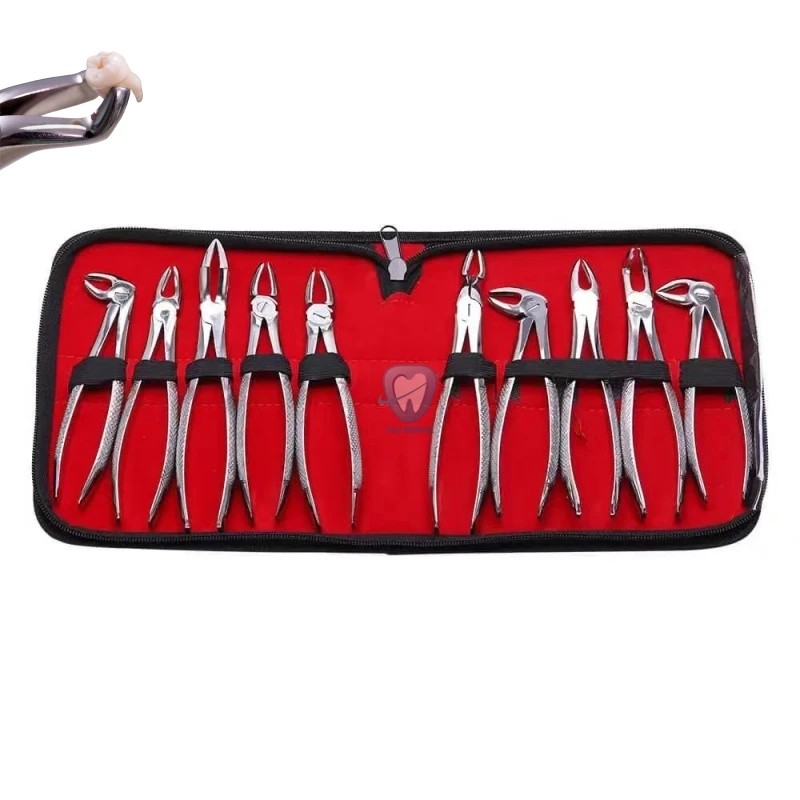 Dental Adult Forceps Tooth Extraction Forcep Pliers Kit 10Pcs/Set Stainless Steel Orthodontic Dental Clinic Tools