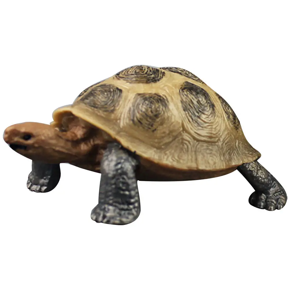 

Realistic Plastic Land Tortoise Colorful Simulation Educational Ocean Animal Decoration Cognitive Land Turtle Desktop Ornament