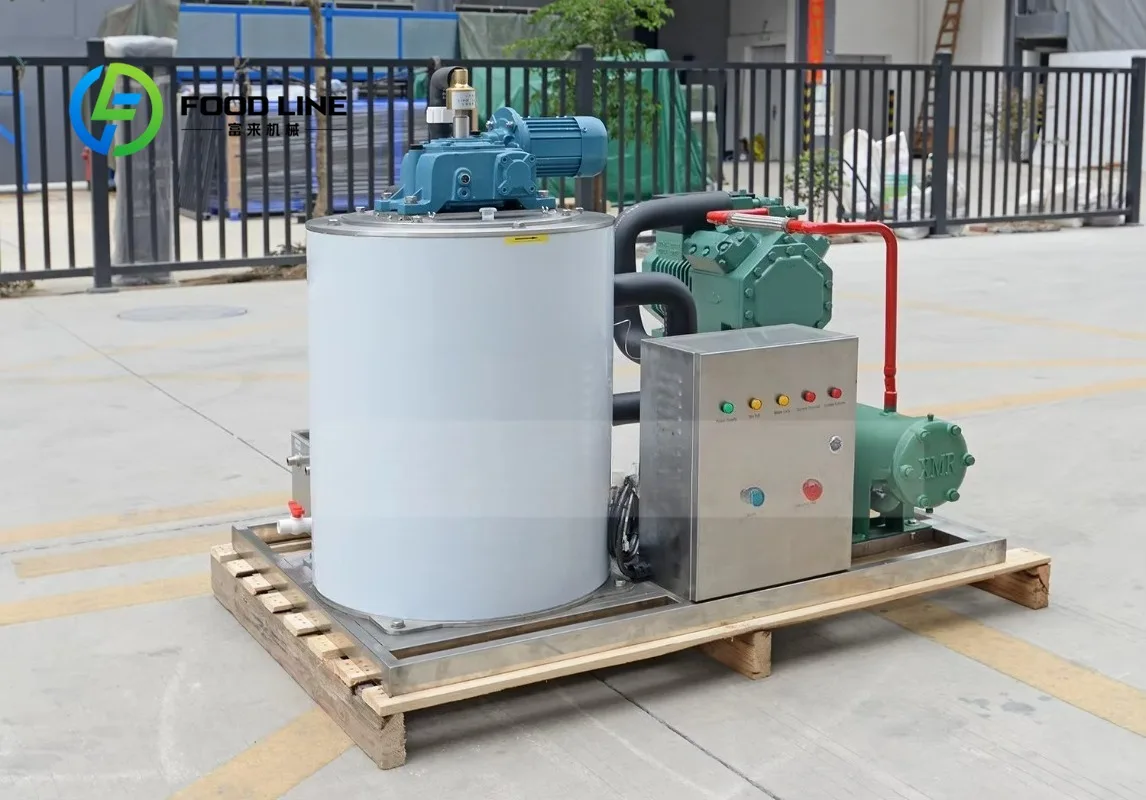 Industrial 10 Ton Flake Ice Machine New Popular Air-Cooled Ice Maker with 220V Pump Motor Components for Sale