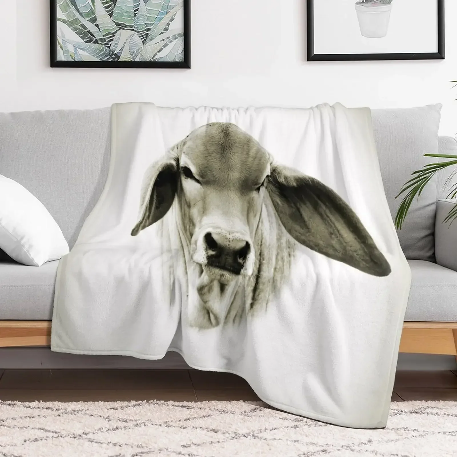 BRAHMAN CALF, WALL ART Throw Blanket Decorative Beds Thin for babies Blankets