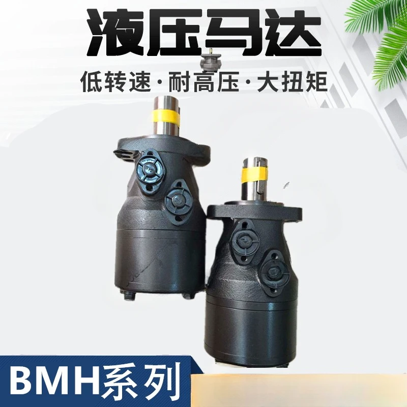 BMD/BMH/OMH-200/245/310/390/490/630/800 Sol-oil Motor for Shoe Machine of Injection Molding