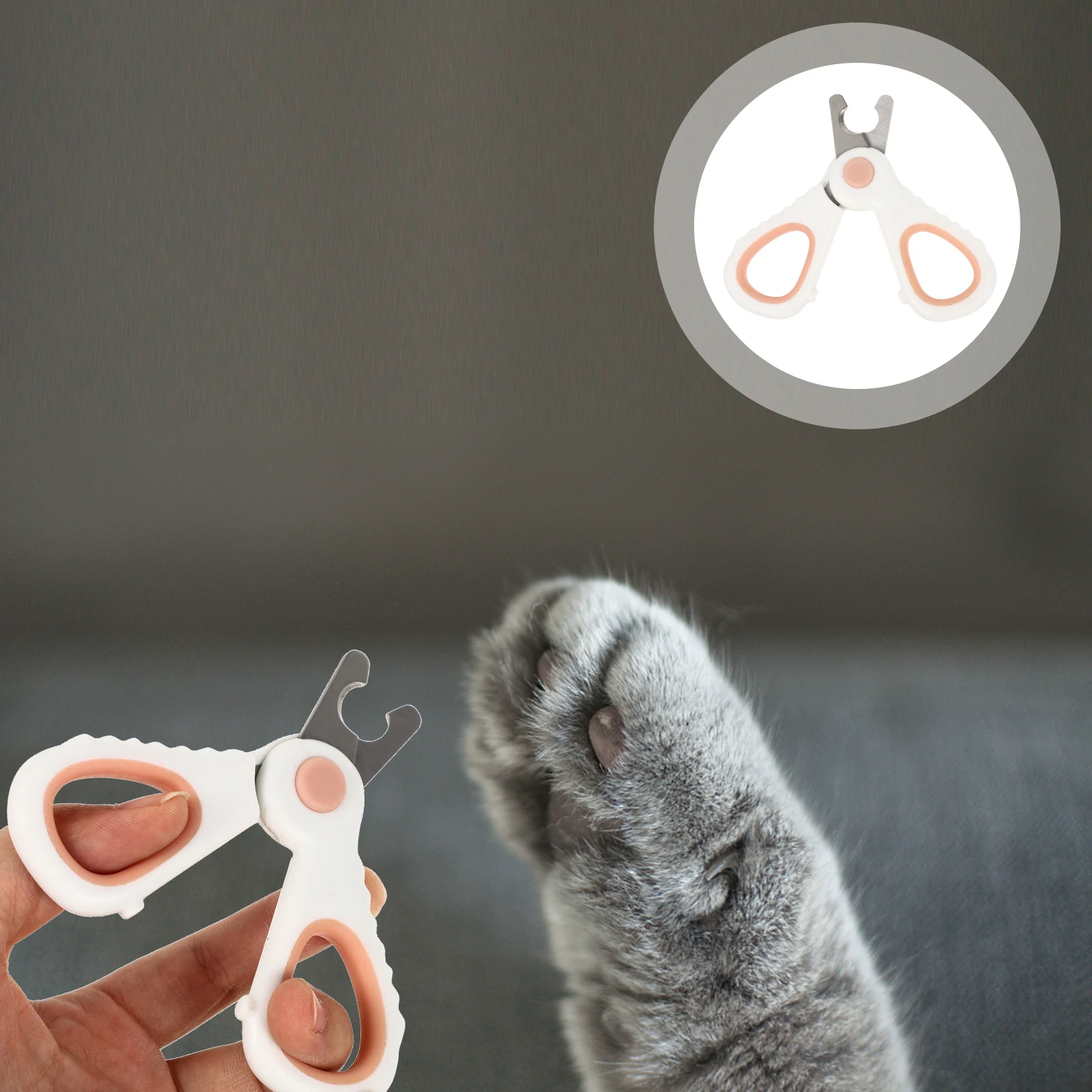 

Cat Nail Scissors Pet Clipper for Pets Cutter Stainless Steel Trimming Tool Cats Claw