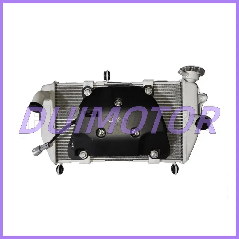 Motorcycle Radiator Assembly Water Tank for Colove Zf300gs 321rr Genuine Parts