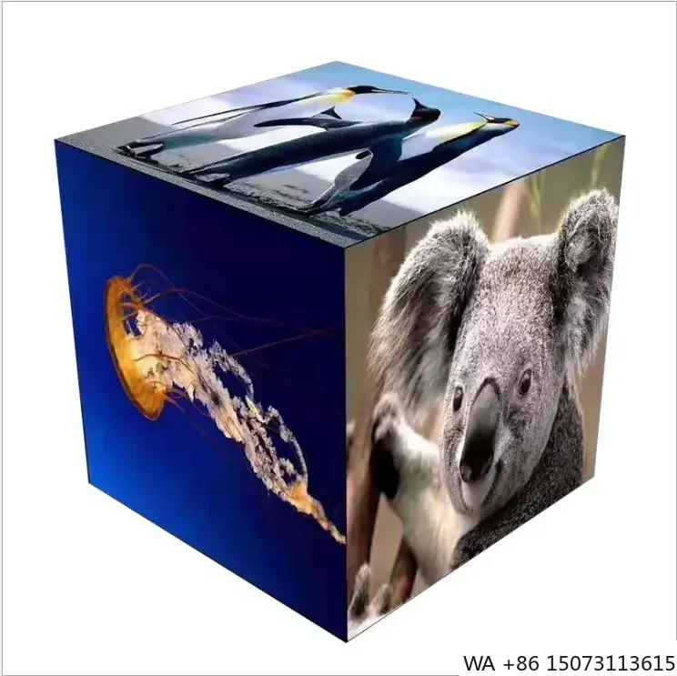 Indoor P2 Led Acryl…