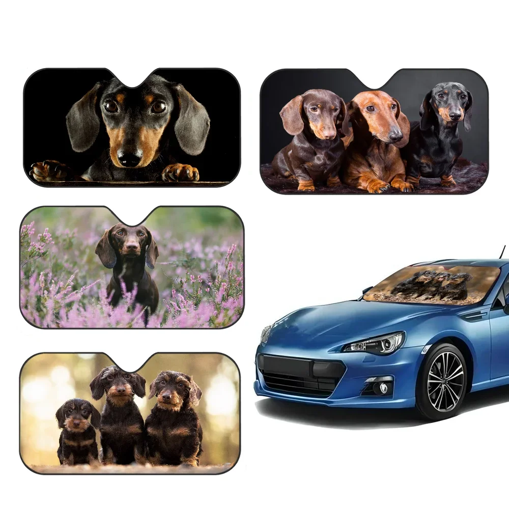 

Такса Собака Складное переднее лобовое стекло Sunsha 70x130 см Аниме Мультфильм Фольга Автомобильный солнцезащитный козырек Защита от солнца