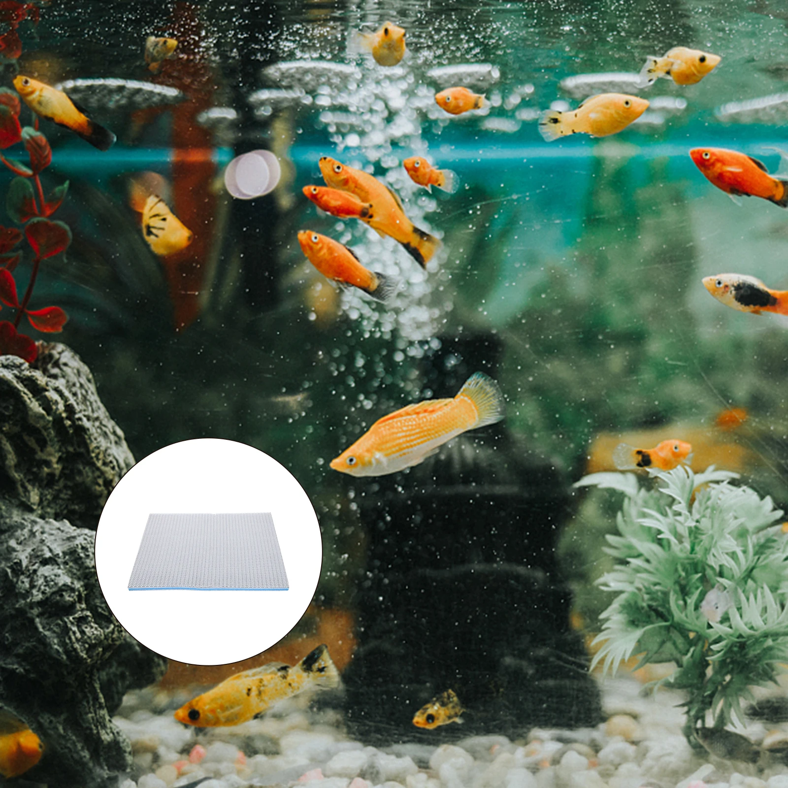 

Aquarium Filter Sponge Thickened Cushion Water Mat Reliable Material Freshwater Saltwater Performance Absorption Decomposing