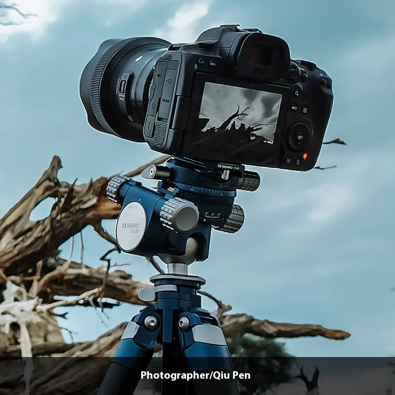 Benro spherical quick adjustment gear pan tilt panoramic fine adjustment GD36