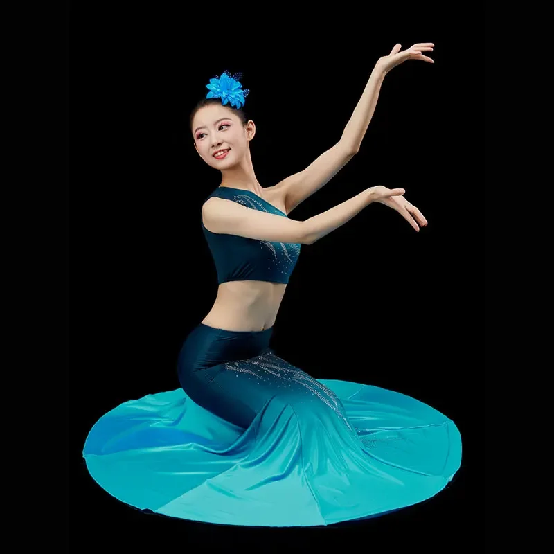 

Women National Dance Dress Fish Tail Leotard Skirt +Top Suit Peacock Traditional Dai Dance Costumes Stage Performance Dancewear