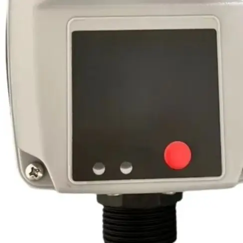 

Сменный моющийся роликовый фильтр для пылесосов Bissell 3912N, 4006N, 3999N, 4000N, 4017N, 4095