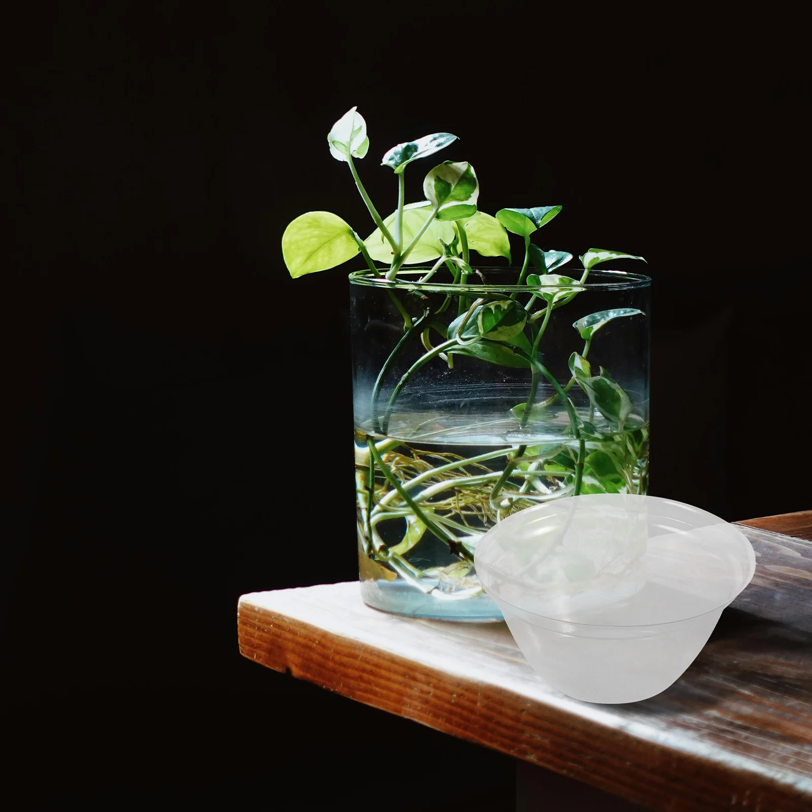 

100Pcs Plant Growth Dome Accessories Easy Installation Garden Cloche Domes for Hydroponic Systems Protection Transparent Covers